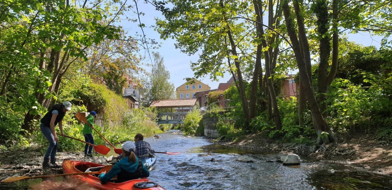 Ferienwohnungen Am Schwanensee 플론 외부 사진