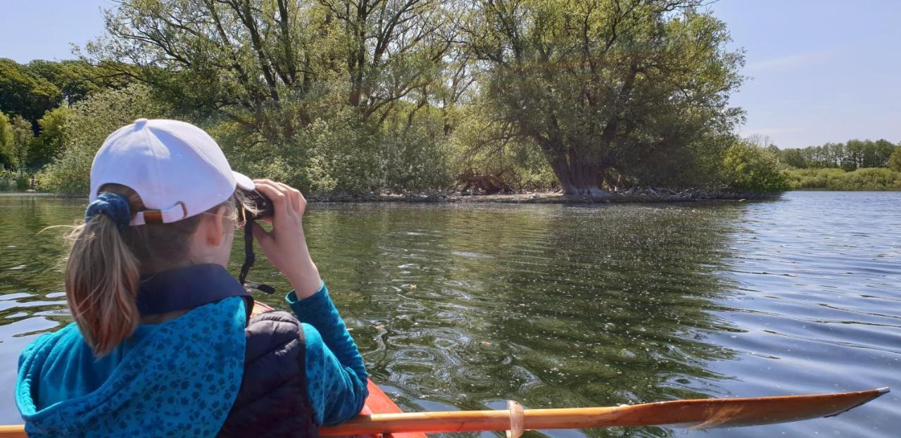 Ferienwohnungen Am Schwanensee 플론 외부 사진