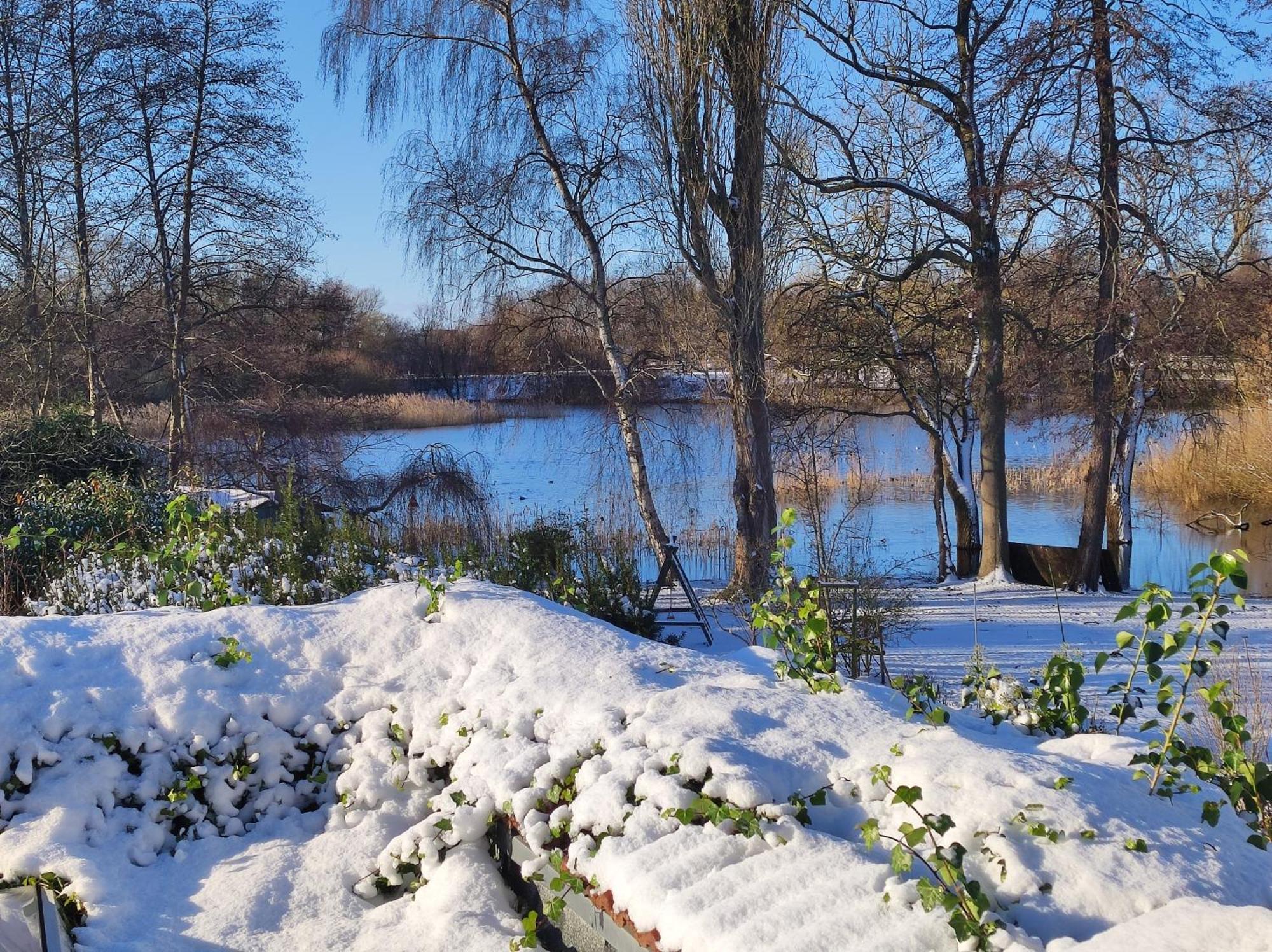 Ferienwohnungen Am Schwanensee 플론 외부 사진
